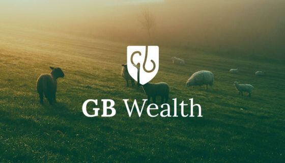 GB Wealth brand guidelines header