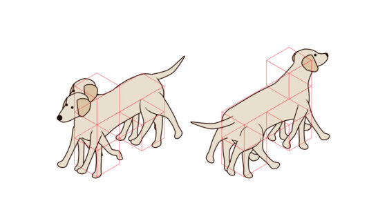 Isometric Labrador dog