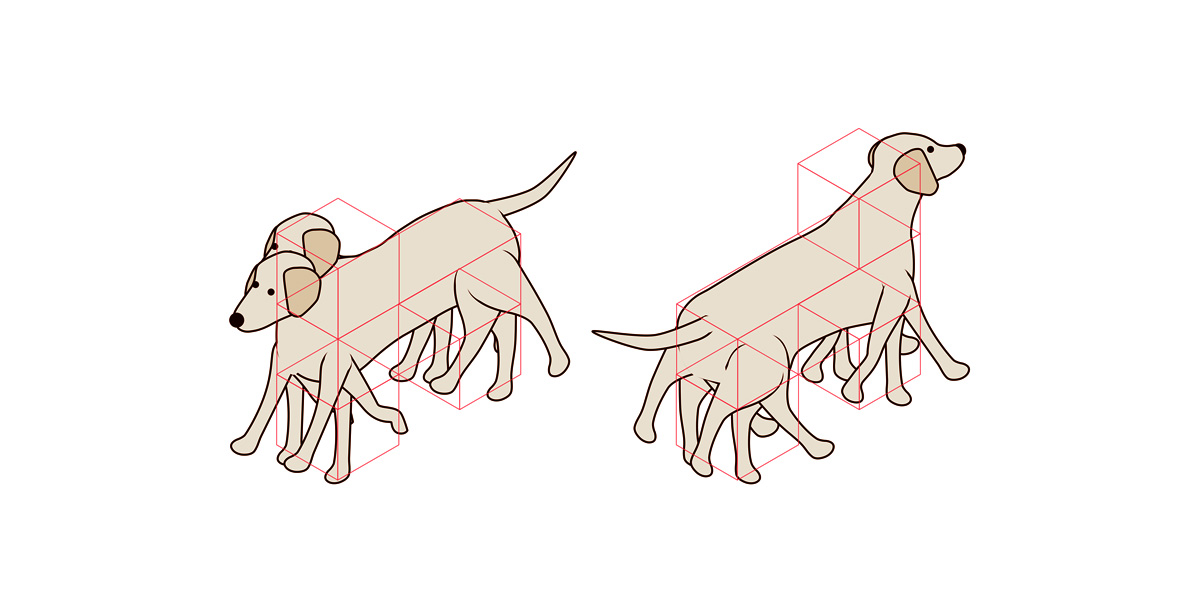 Isometric Labrador dog